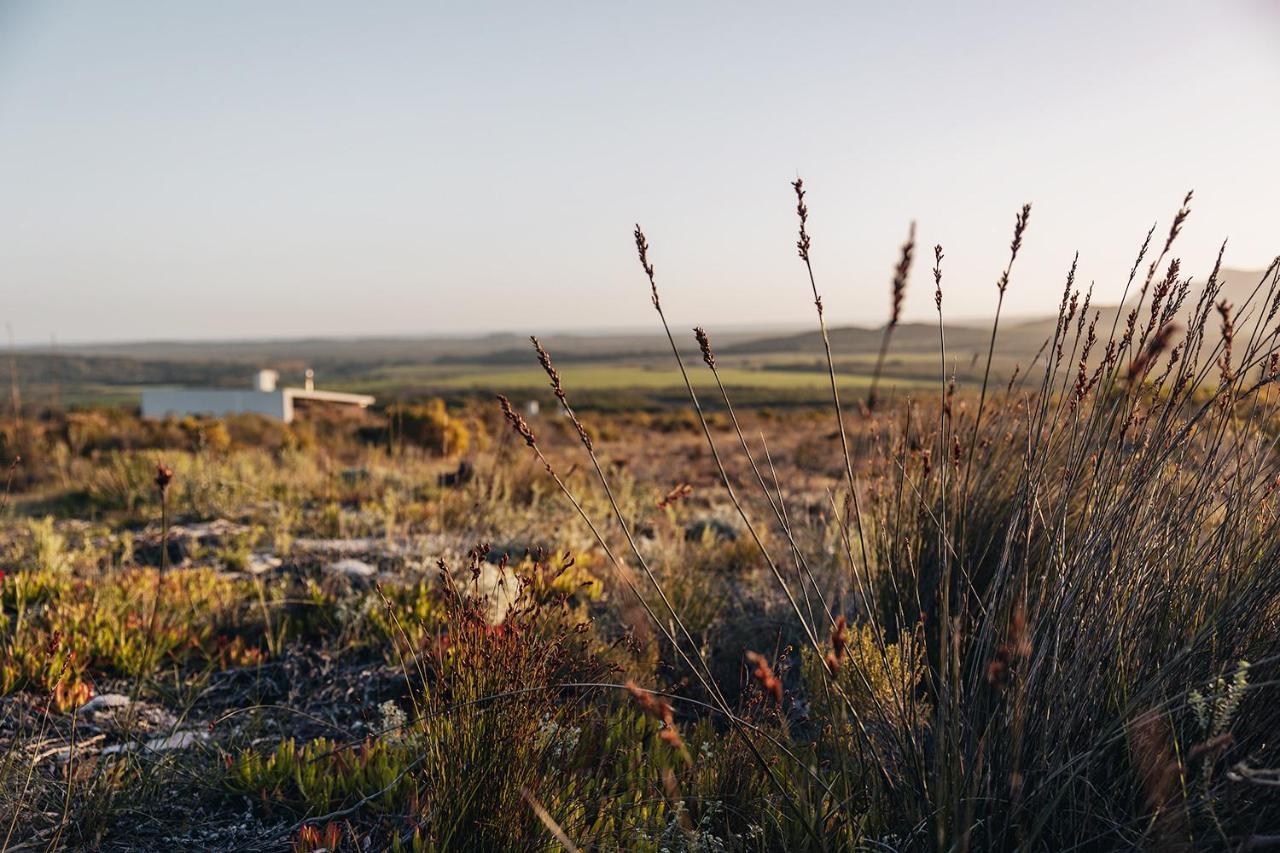 Farm 215 Private Nature Reserve Uilenkraal Extérieur photo